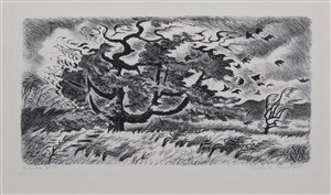 Image description is not available for 1983.005